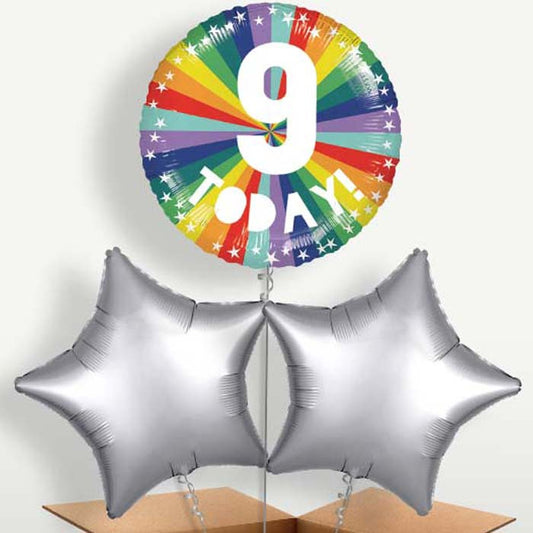 Age 9 9th Birthday Rainbow Bunch of Balloons | Small Indoor Plants