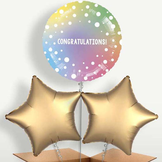 Ombre Dots Congratulations Balloon Bunch | Small Indoor Plants