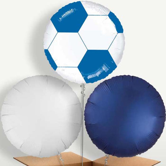 Blue Football Bunch of Balloons inflated with Helium | Small Indoor Plants