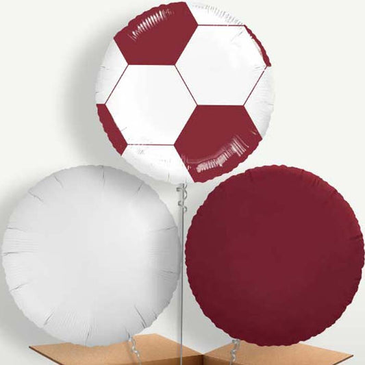 Maroon Football Balloon Bunches inflated with Helium | Small Indoor Plants