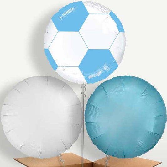 Light Blue Football Balloon Bunches inflated with Helium | Small Indoor Plants