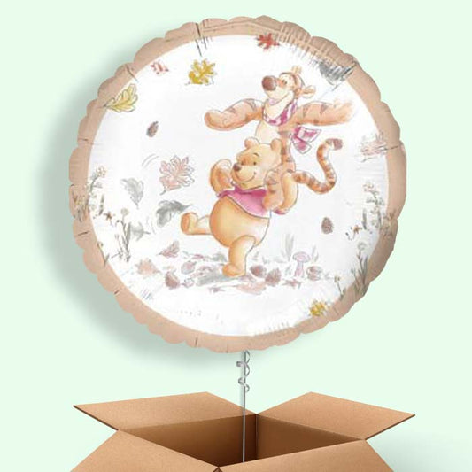 Winnie Pooh Balloons in a Box