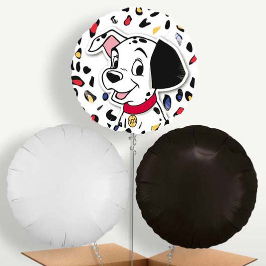 101 Dalmatians Bunch of Balloons inflated with Helium | Small Indoor Plants