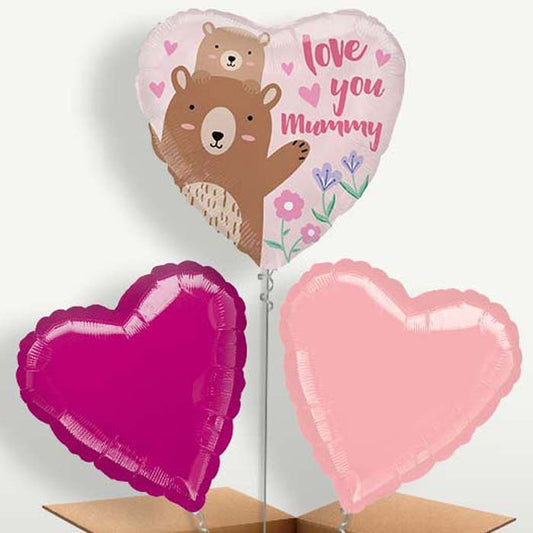 Love you Mummy Bear Balloon Bunches inflated with Helium | Small Indoor Plants