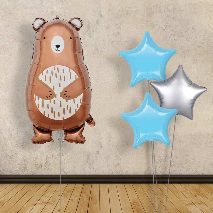 Daddy Bear Balloon Bouquet Delivery - Plain Bouquet | Small Indoor Plants