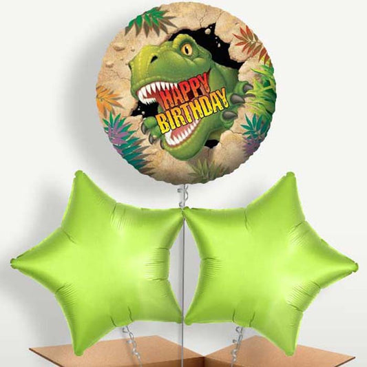 Happy Birthday Dinosaur Set Balloons in a Bunch | Small Indoor Plants