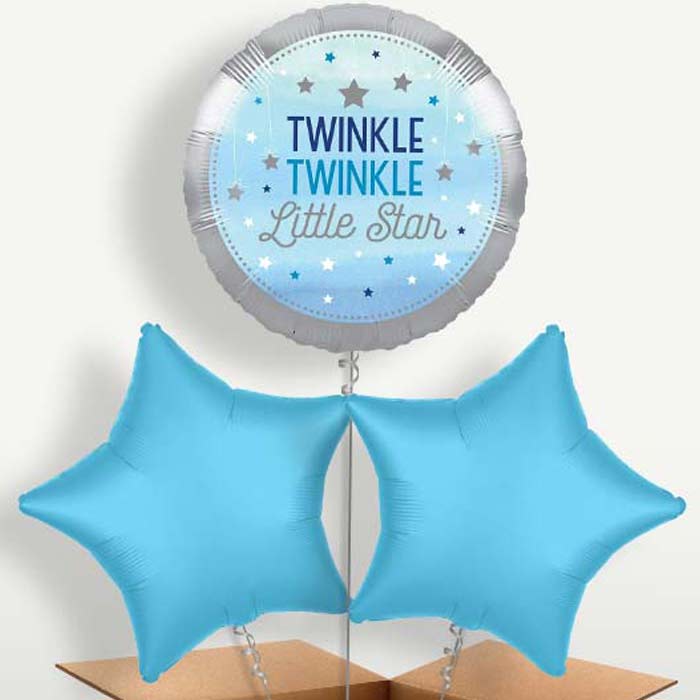 Blue Twinkle Twinkle Little Star Bunch of Balloons | Small Indoor Plants