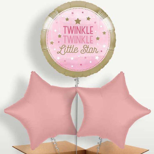 Pink Twinkle Twinkle Little Star Balloon Bunch | Small Indoor Plants