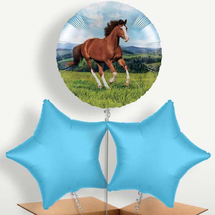 Horse Balloons in a Bunch Inflated with Helium | Small Indoor Plants
