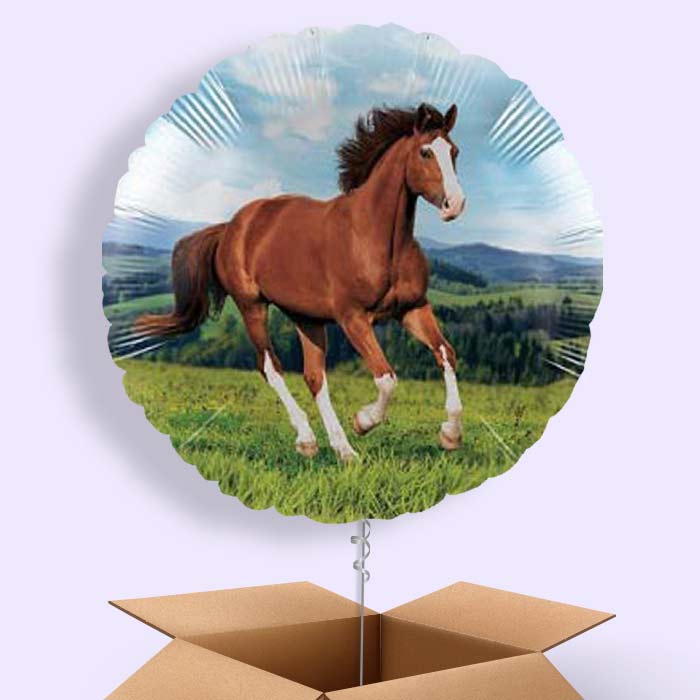 Horse Foil Balloon in a Box Gift