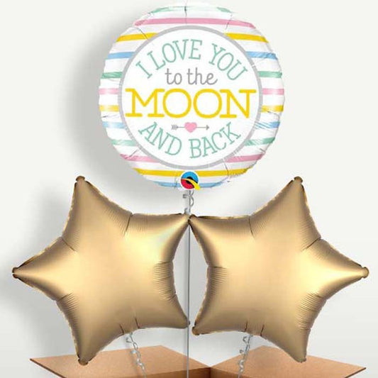 Love You to the & Back Balloon Bunches inflated with Helium | Small Indoor Plants