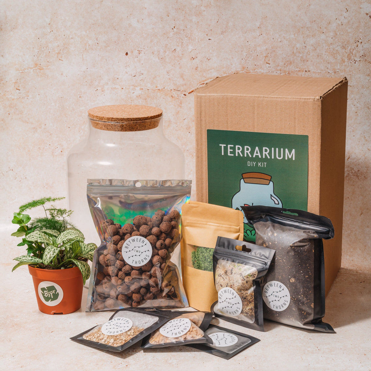 DIY Buid Your Own Closed Terrarium Kit - Two Sizes!