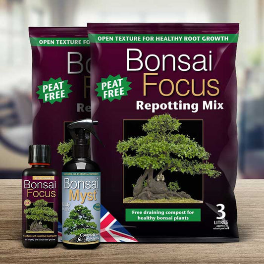 Bonsai Tree Care Kit