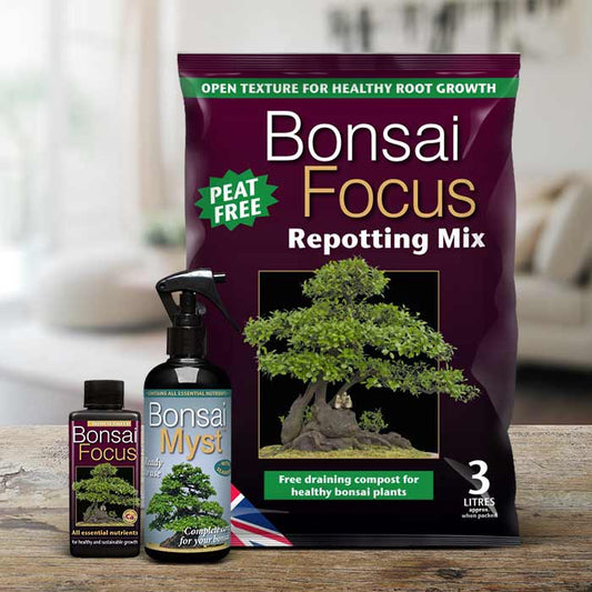 Small Bonsai Care Kit