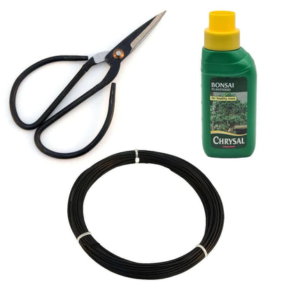 Bonsai Tree Plant Care Starter Kit
