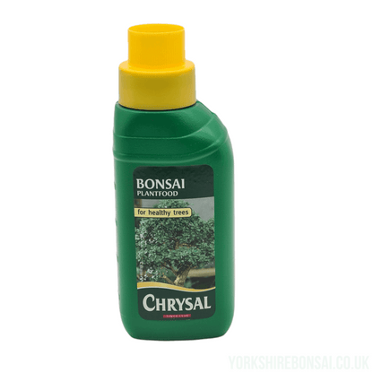 Bonsai Tree Plant Care Starter Kit