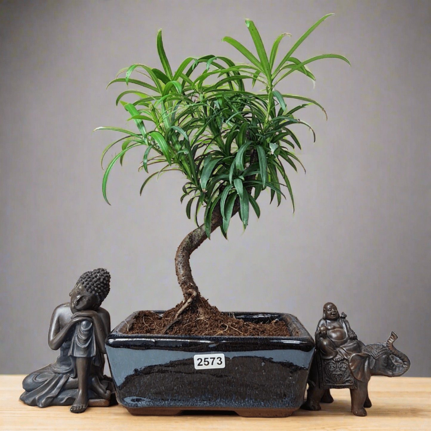 Buddhist_2024-05-31T13_55_27.595Z