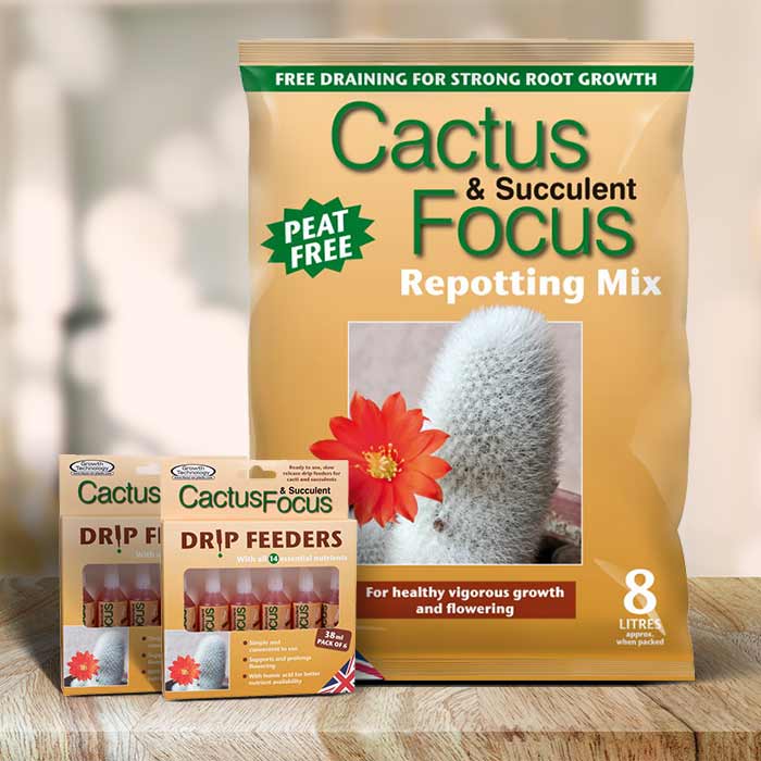 Cactus & Succulent Care Kit