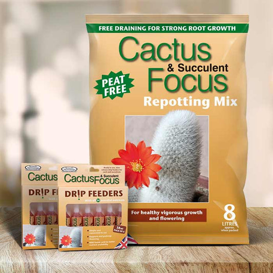 Cactus & Succulent Care Kit