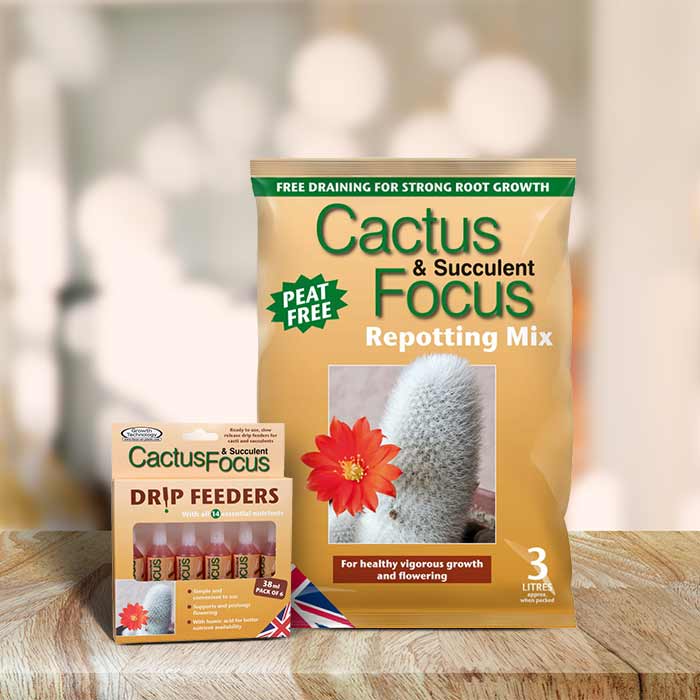 Cactus & Succulent Repotting Kit