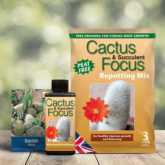 Cactus Growing Kit - Includes Seeds, Soil & Food