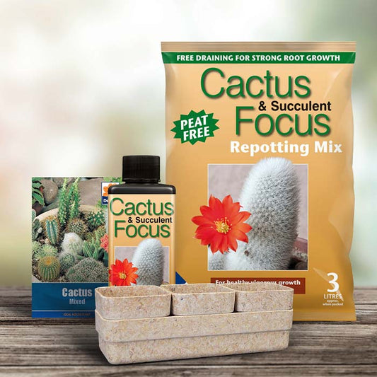 Grow Your Own Cactus Kit