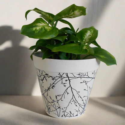 Earthy Natural Bamboo Plant Pot Branch with dumb cane house plant