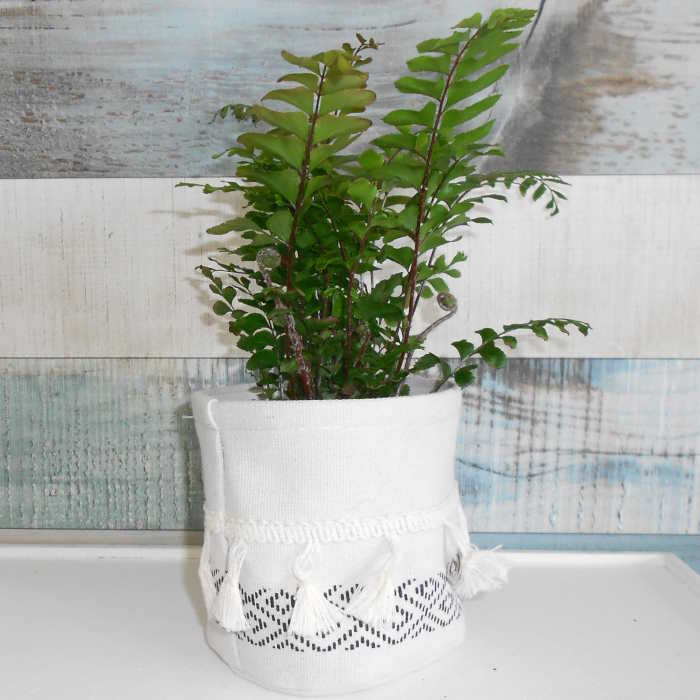 Small Black and White Tasselled Cotton Plant Pot Cover with fern plant