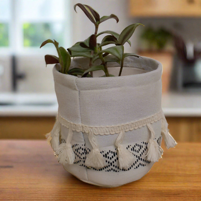 Tradescantia zebrina silver houseplant in a cotton pot