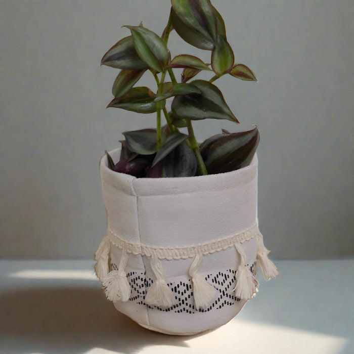 Tradescantia Zebrina Purple in a cotton plant pot