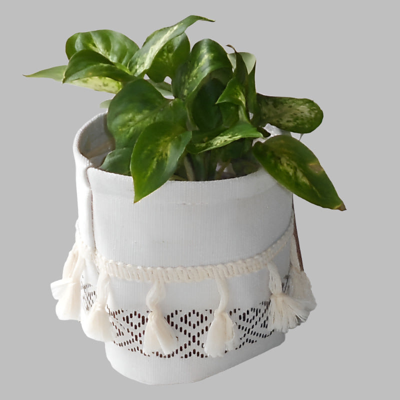 Dieffenbachia Compacta house plant in a cotton plant pot