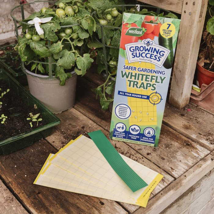 Gro Sure Whitefly Sticky Traps 7 Pack in a potting shed