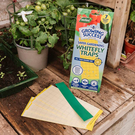 Gro Sure Whitefly Sticky Traps 7 Pack in a potting shed