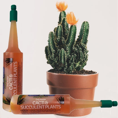 Fito Cactus & Succulent Drip Feeder 32ml