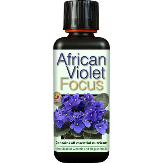 African Violet Focus Plant Food 300 ml