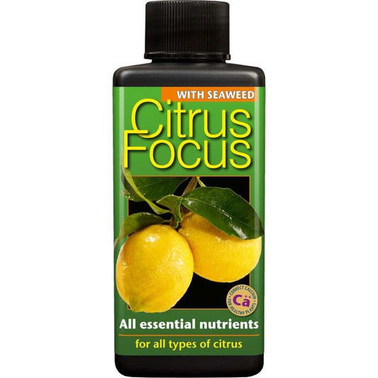 Citrus Focus 100 ml