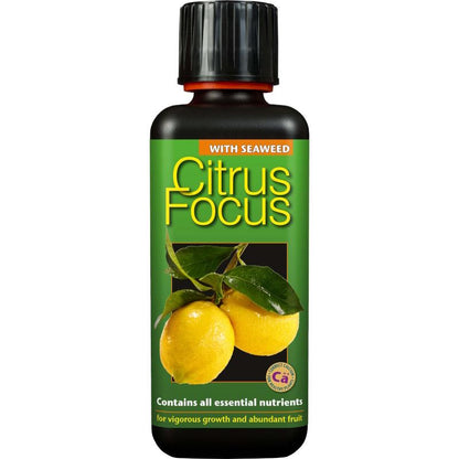 Citrus Focus 100 ml