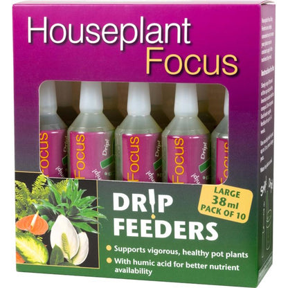 Houseplant Focus Drip Feeder 38ml