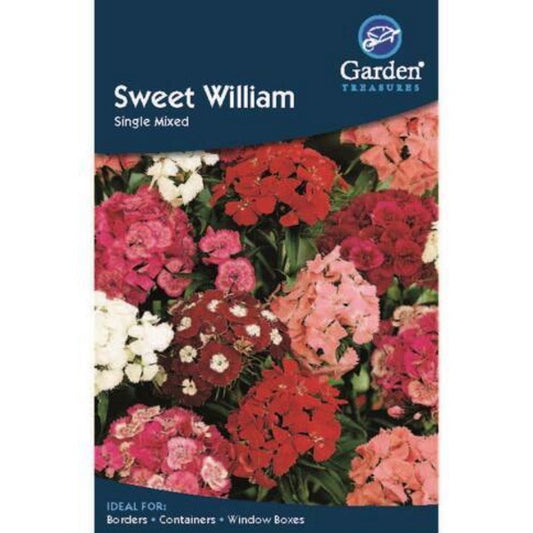 Sweet William Single Seeds