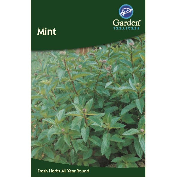 Mint Seeds