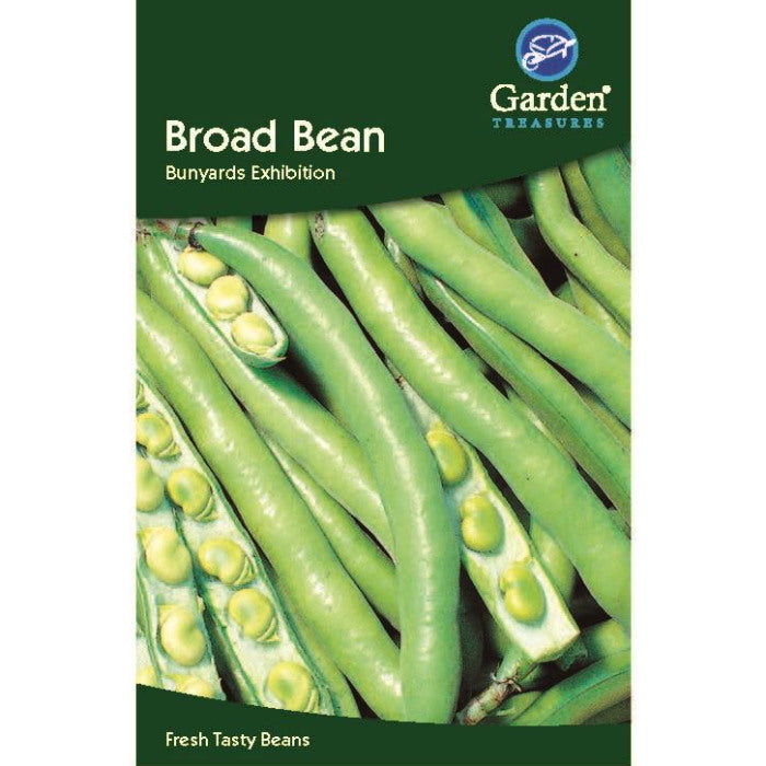 Broad Bean Bunyards Exhibition Seeds