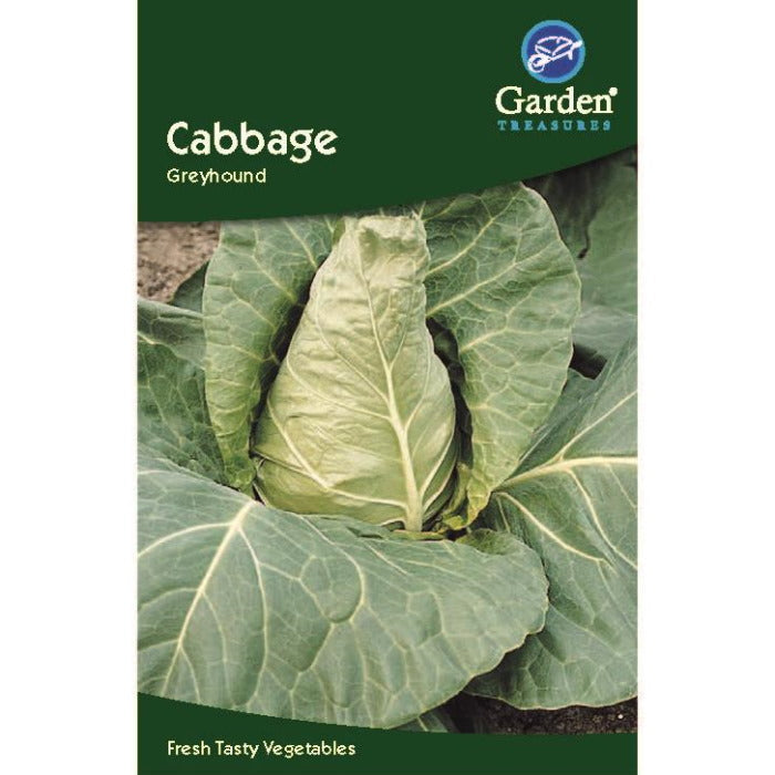 Cabbage Greyhound Seeds