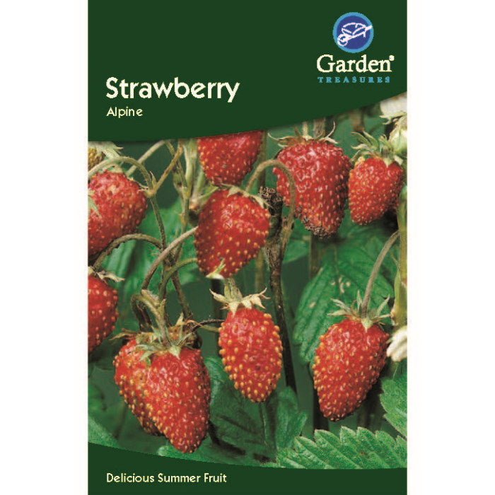 Strawberry Alpine Seeds