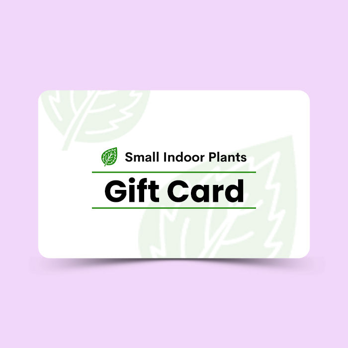 Small Indoor Plants Gift Card