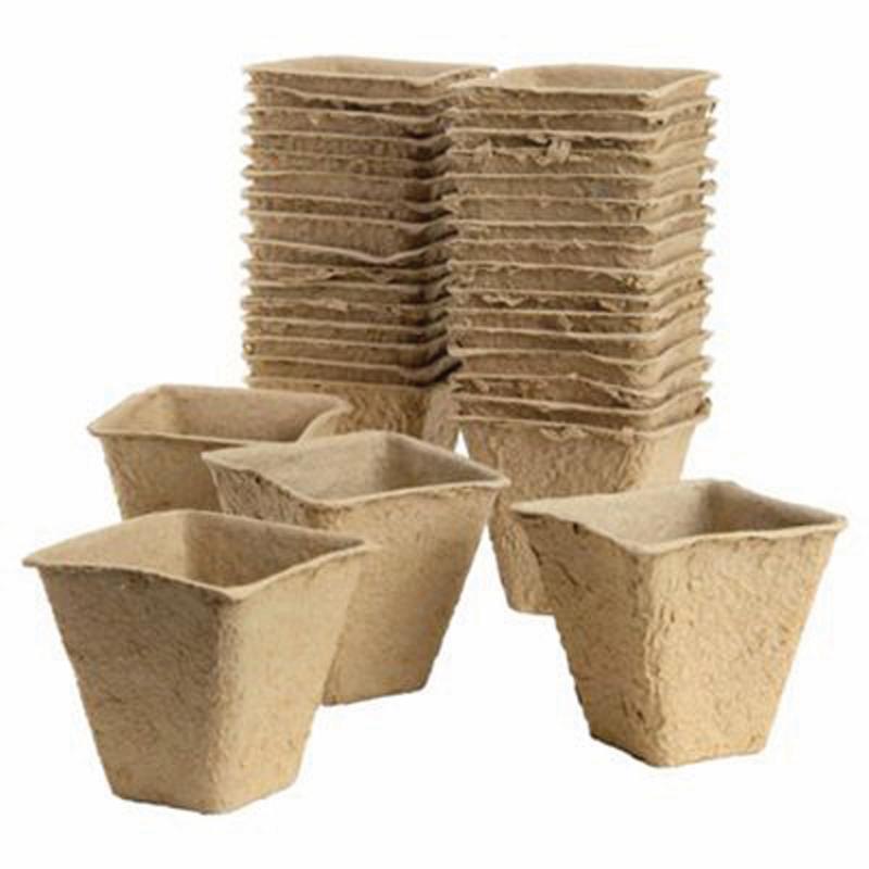 Gro-Sure Fibre Pots Square 6cm 80pk