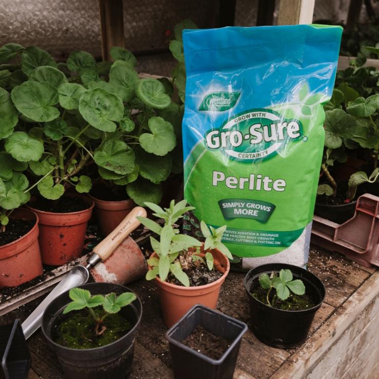 Gro Sure Perlite 10L with potting accessories