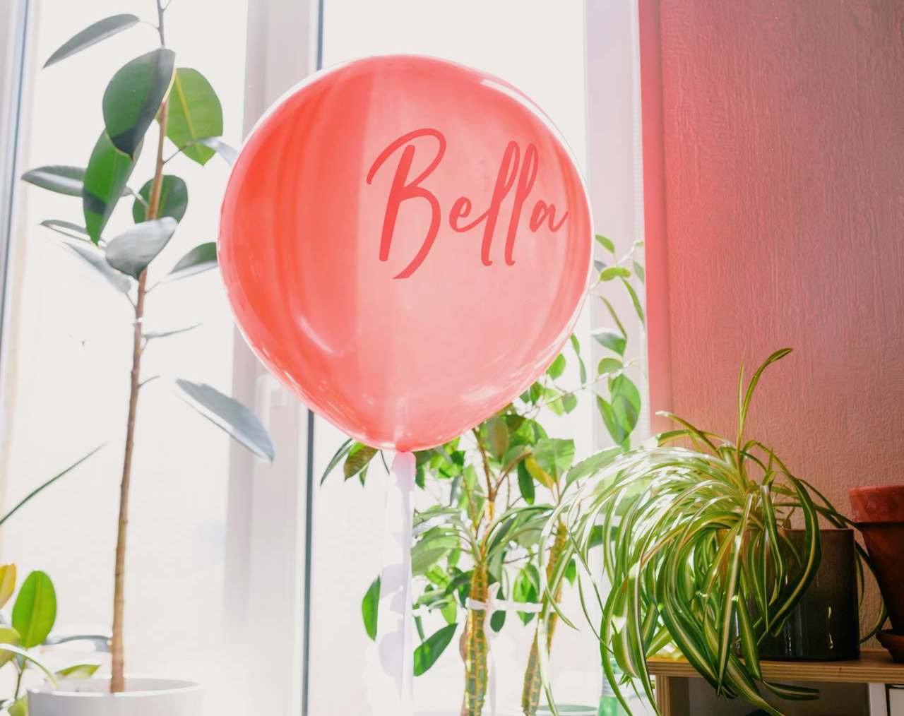 Helium Inflated Balloons | Small Indoor Plants