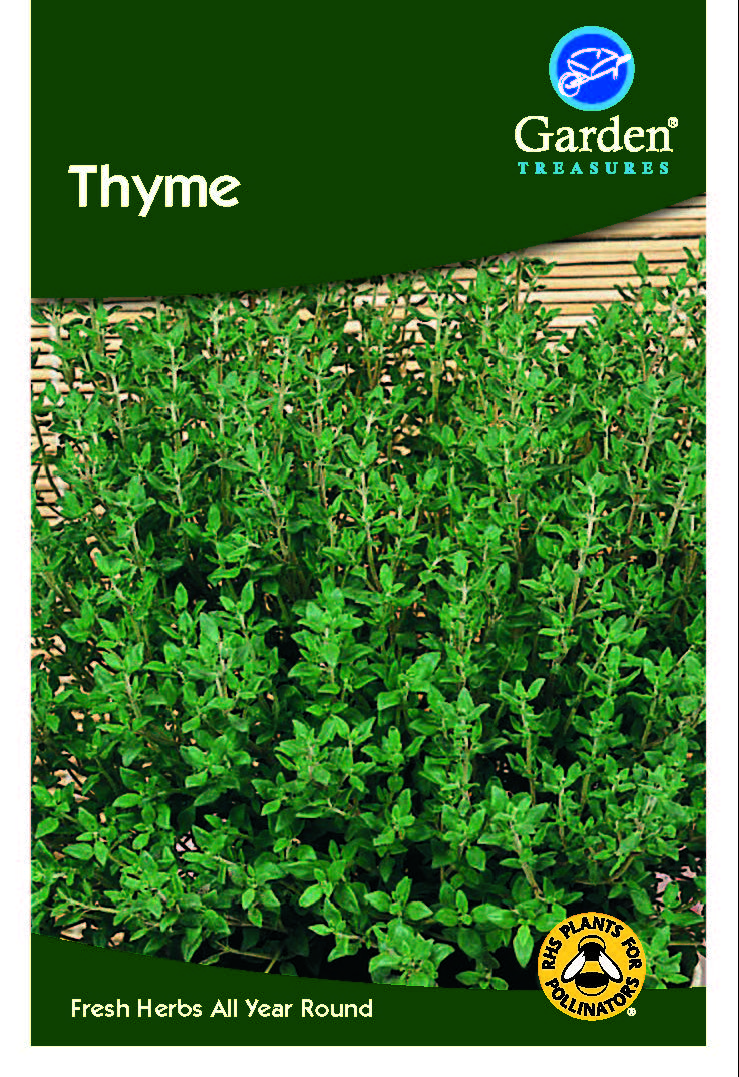 Thyme Seeds