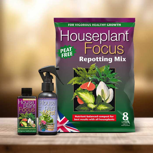 Indoor Plant Care Kit