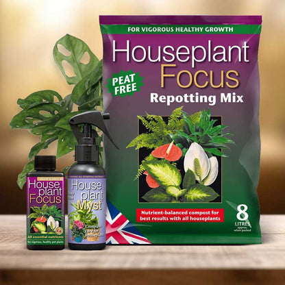 Monstera Monkey Mask Plant Repotting Kit| Small Indoor Plants